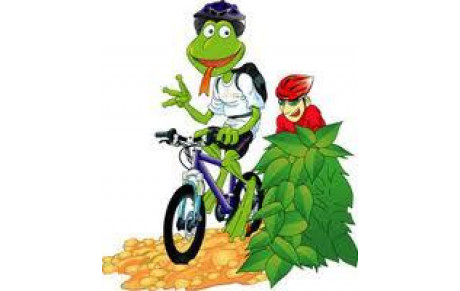 VTT DIMANCHE 07 DECEMBRE 2014