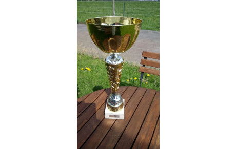 Le VCD récompensé au rallye des jonquilles à MAROMME