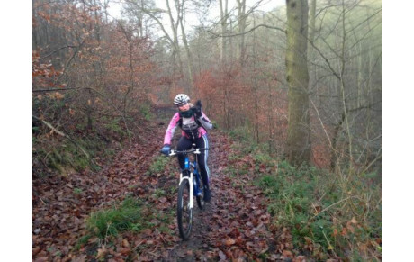 Enquête Usagers de la foret